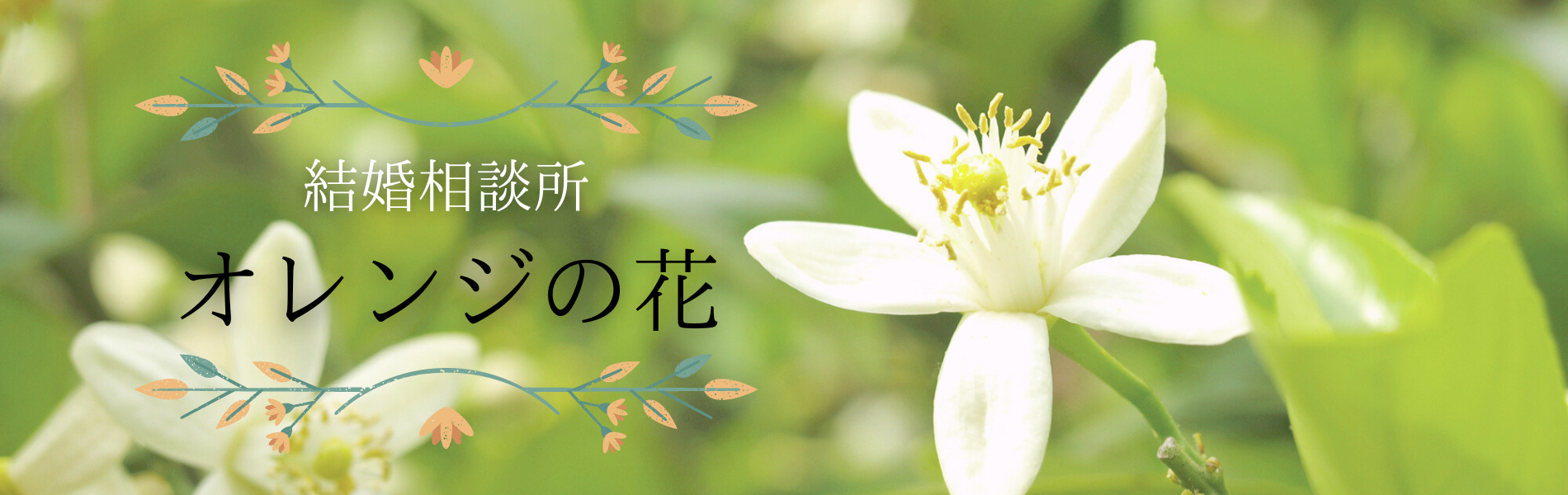 オレンジの花